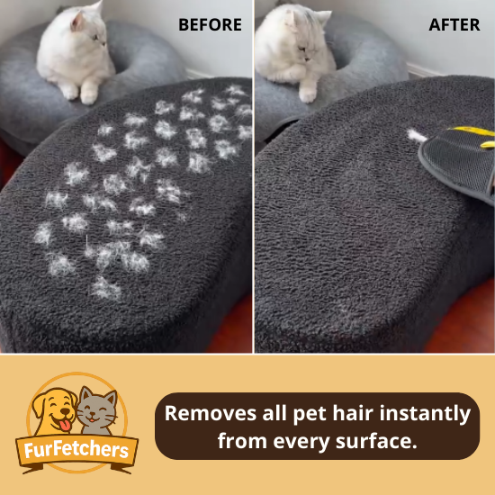 FurMitt Pro